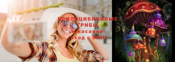 ПСИЛОЦИБИНОВЫЕ ГРИБЫ Иннополис