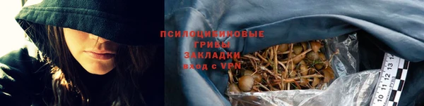 PSILOCYBIN Каменск-Шахтинский