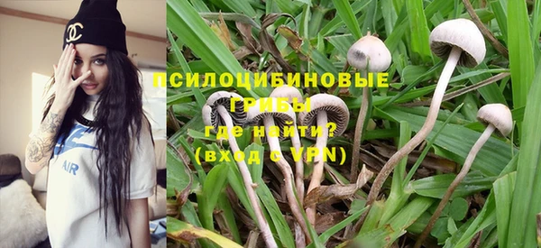 PSILOCYBIN Каменск-Шахтинский