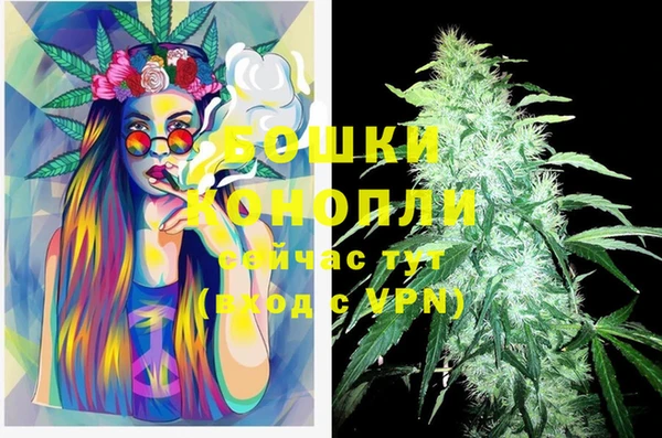 PSILOCYBIN Каменск-Шахтинский