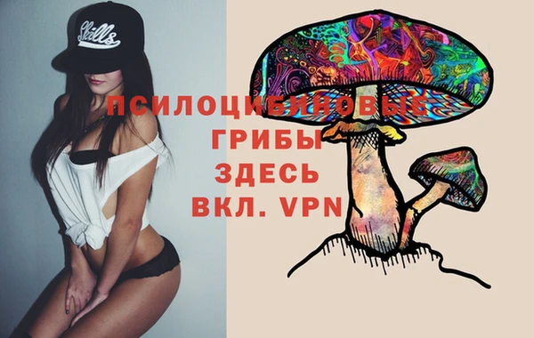 COCAINE Каменка