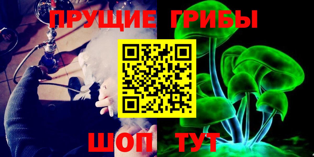 Галлюциногенные грибы Psilocybe Сунжа